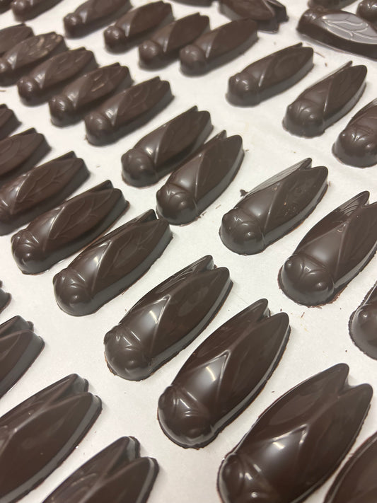 Coffret Cigales- Chocolat Blanc,Lait et Noir Fourrés Praliné Croustillant