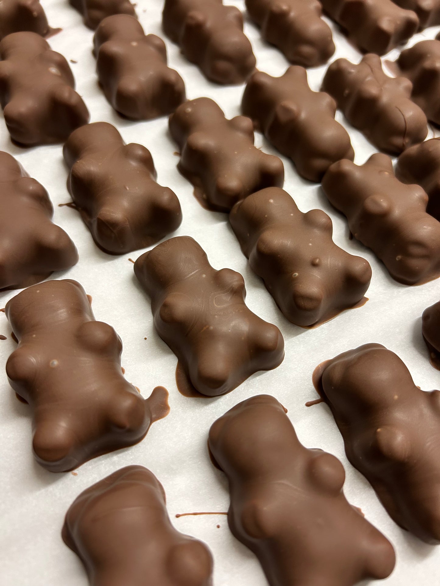 Oursons en Guimauve enrobés de Chocolat au Lait